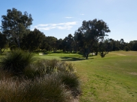 copy_0_dsc_2975mlgc3